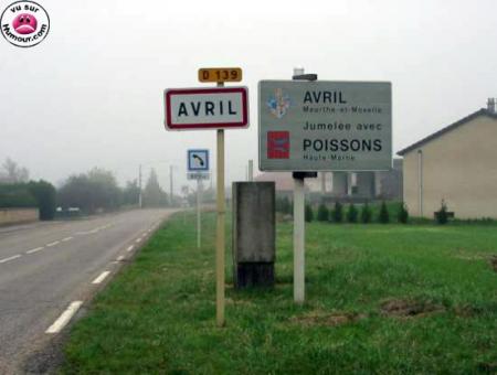 avril poison