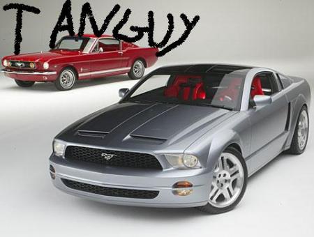 tanguy vs mustang vs new mustang