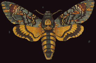 le sphinx de la mort