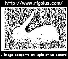 ahou