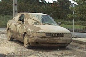 tres bon camouflage