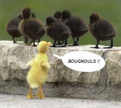 canard raciste
