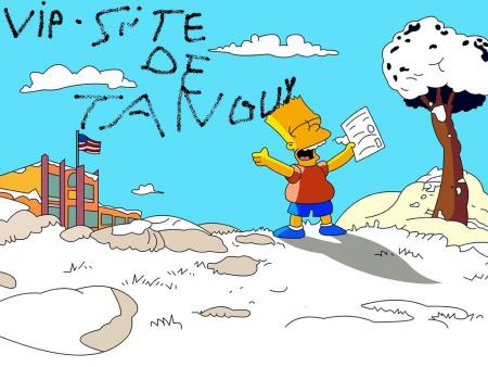 vive mon vip-site