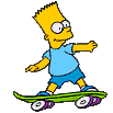 skate bord bart